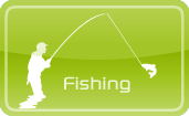 ivory phi phi fishing